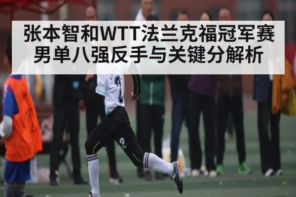 张本智和WTT法兰克福冠军赛男单八强反手与关键分解析