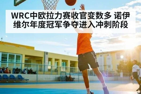 WRC中欧拉力赛收官变数多 诺伊维尔年度冠军争夺进入冲刺阶段